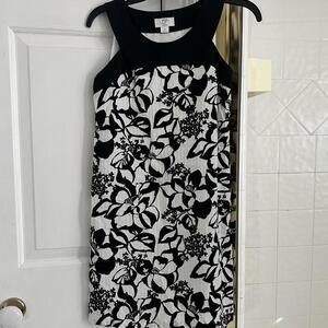 Ann Taylor Women's Black and White Dress
